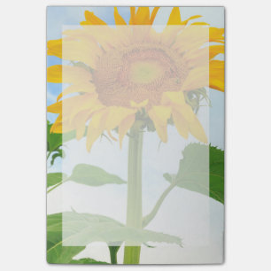Sunflower, community garden, Moses Lake, WA, USA Post-it Notes