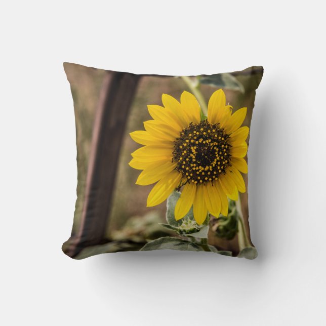 Sunflower Cushion (Front)