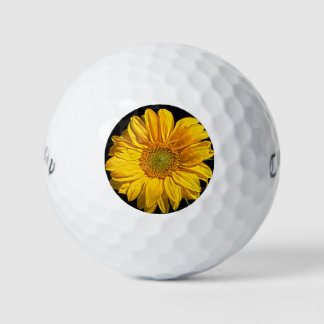 Sunflower cwb gbcna golf balls