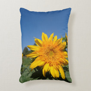 Sunflower Decorative Cushion