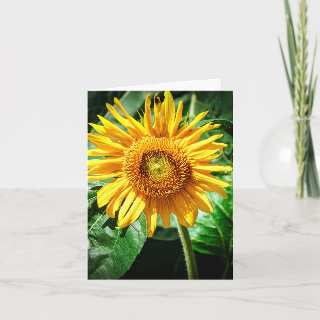 Sunflower Delight Card (Front)