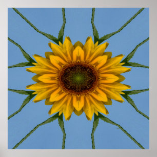Sunflower Delight.... Poster