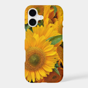 Sunflower Design