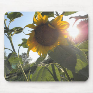 Sunflower Down Mouse Pad