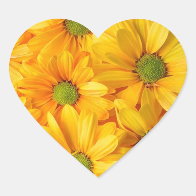 Sunflower Dreams Stickers that Smile Back (Front)