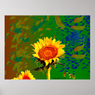 Sunflower Evening Poster
