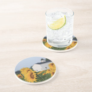 Sunflower Farm Sandstone Coaster