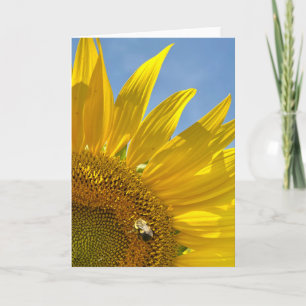 Sunflower Festival Photo Greeting  Card