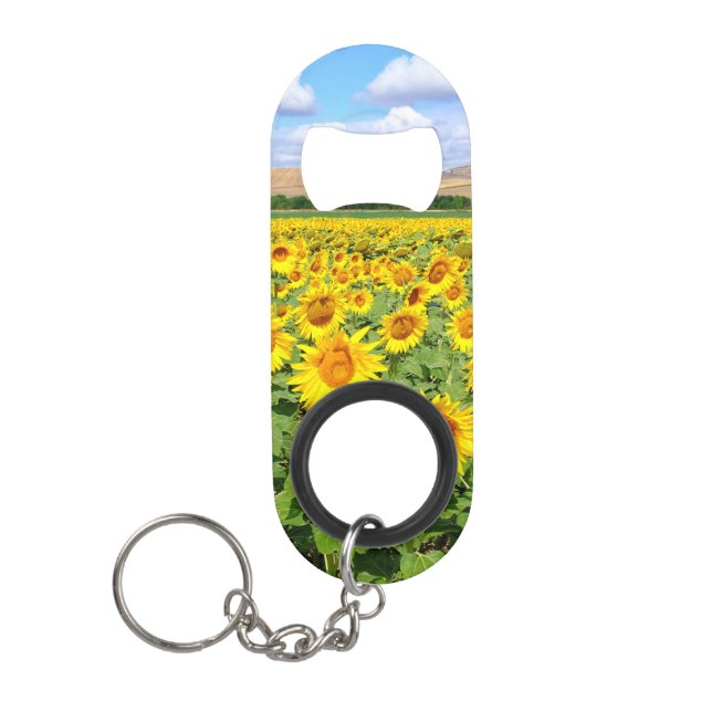 Sunflower field (Front)