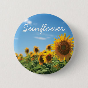 Sunflower field  6 cm round badge