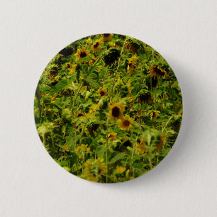 Sunflower field 6 cm round badge