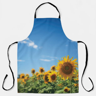Sunflower field  apron