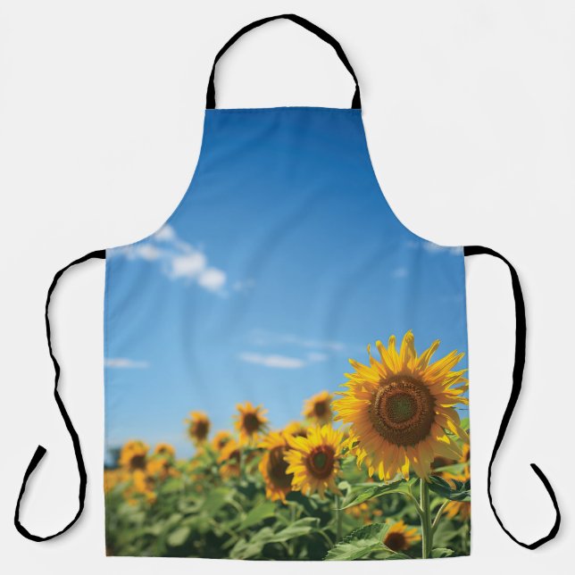 Sunflower field  apron (Front)