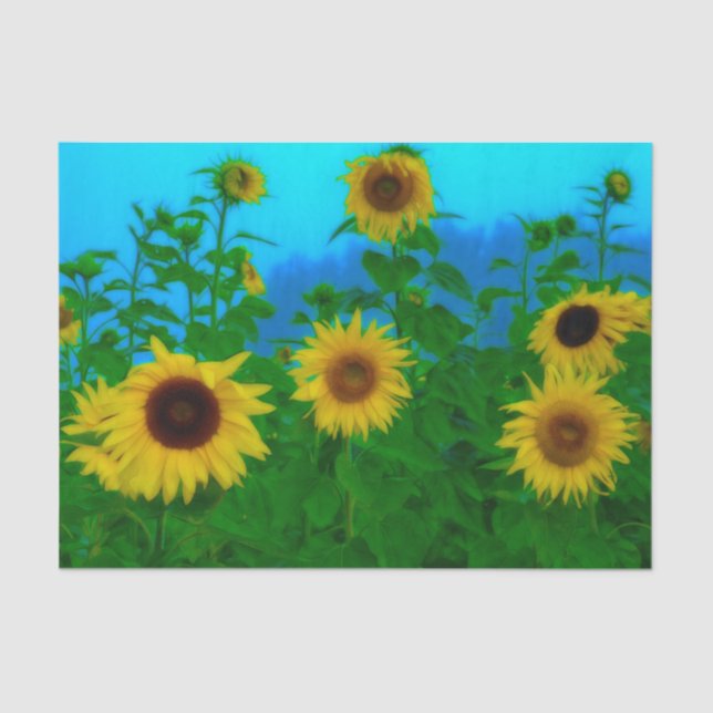Sunflower Field Art Blue Sky Yellow Green Garden Tissue Paper (Front)