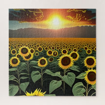 sunflower field at sunset    