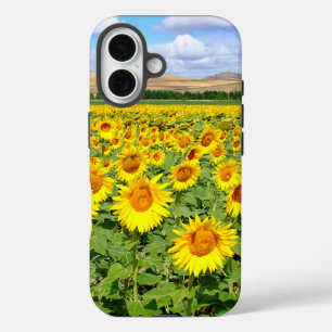 Sunflower field iPhone 16 case