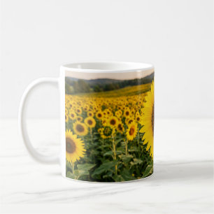 Sunflower Field Coffee Mug