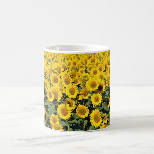 Sunflower field coffee mug (Center)