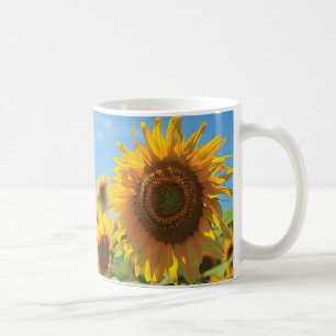 Sunflower field coffee mug