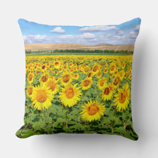 Sunflower field cushion