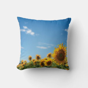 Sunflower field  cushion