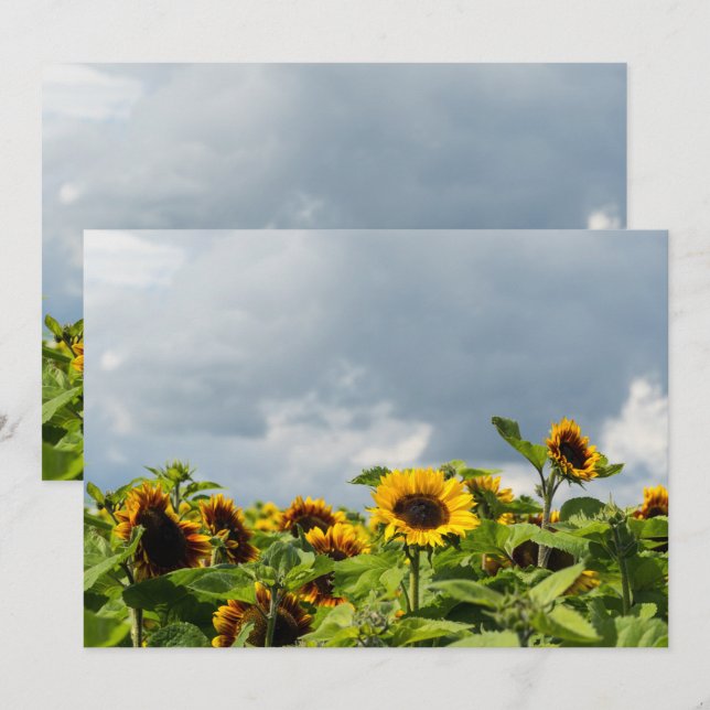 Sunflower Field Giant Coffee Mug Invitation (Front/Back)