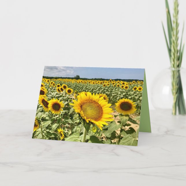 Sunflower Field Greeting Card (Front)