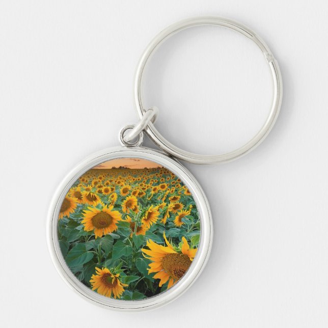 Sunflower Field in Longmont, Colorado Key Ring (Front)