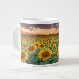 Sunflower Field in Longmont, Colorado Large Coffee Mug