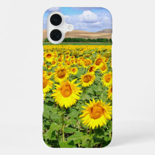 Sunflower field iPhone 16 plus case