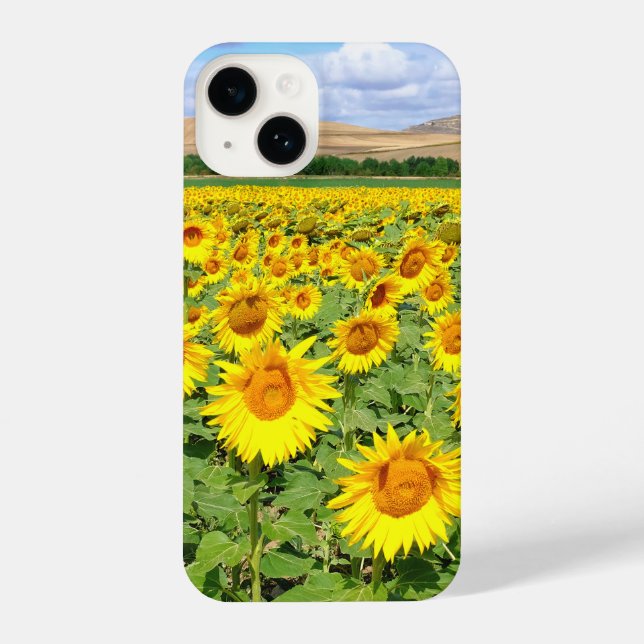 Sunflower field iPhone case (Back)