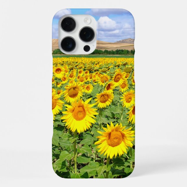 Sunflower field iPhone case (Back)