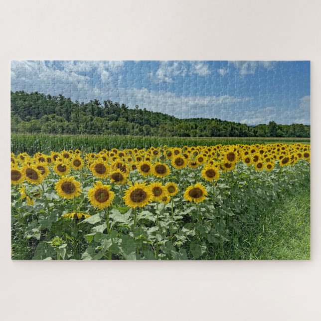 Sunflower Field Jigsaw Puzzle (Horizontal)