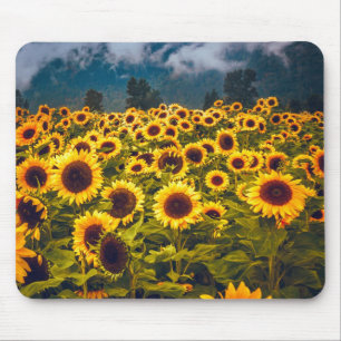 Sunflower Field Landscape Flowers Yellow Mouse Pad