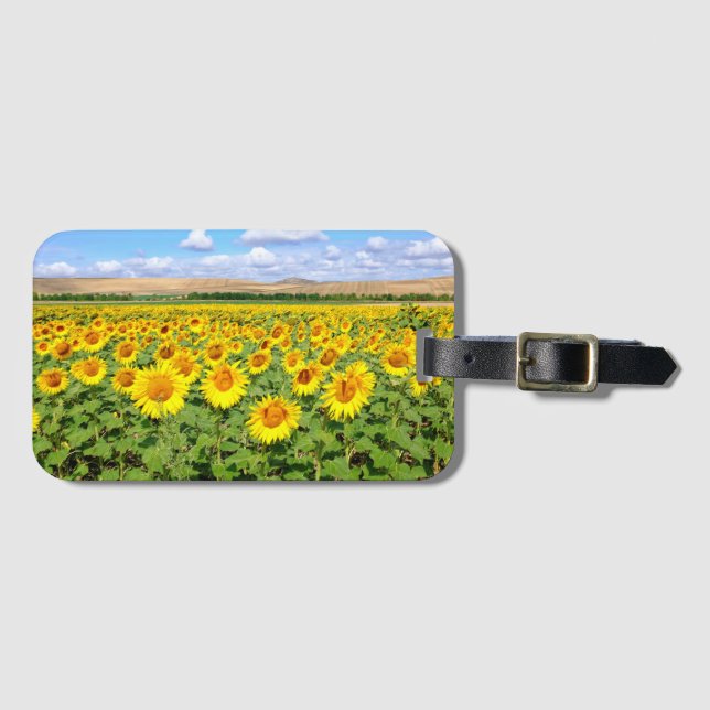 Sunflower field luggage tag (Front Horizontal)