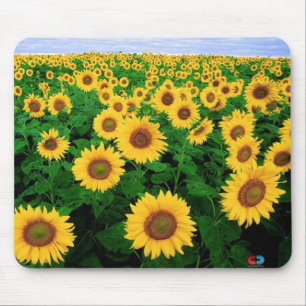 Sunflower Field Mouse Pad