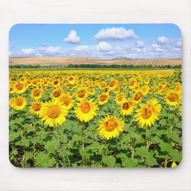 Sunflower field mouse pad (Front)