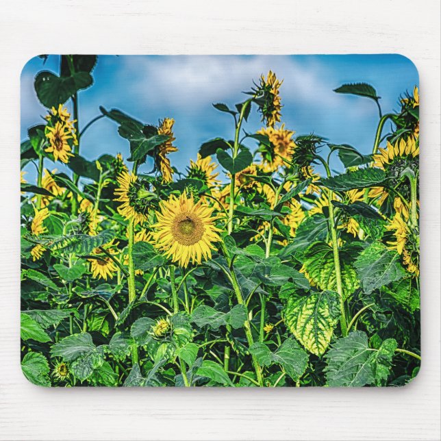 Sunflower Field Mouse Pad (Front)