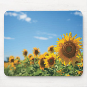 Sunflower field  mouse pad