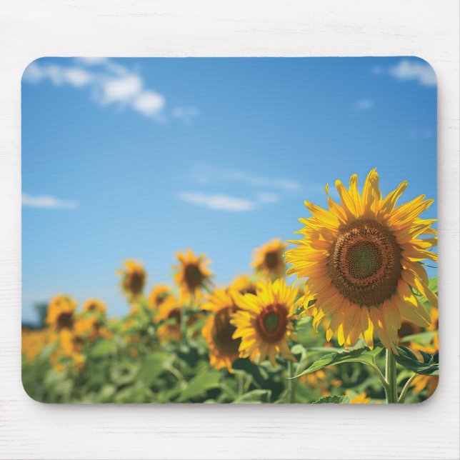 Sunflower field  mouse pad (Front)