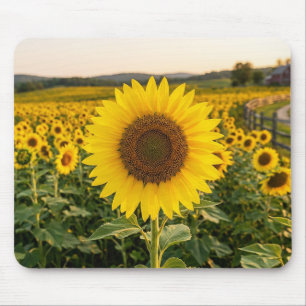 Sunflower Field Mouse Pad