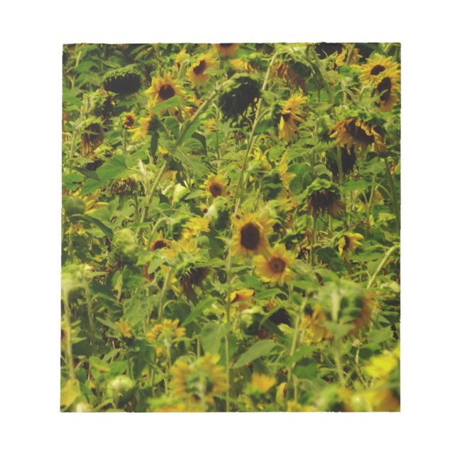Sunflower field notepad (Front)