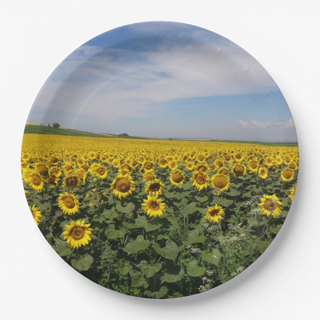 Sunflower Field Paper Plates (Front)