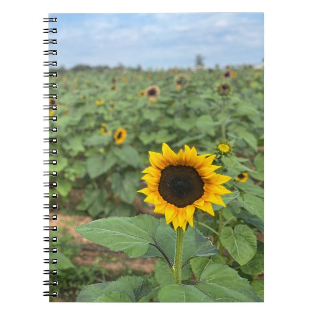Sunflower Field Photograph Farm Notebook (Front)