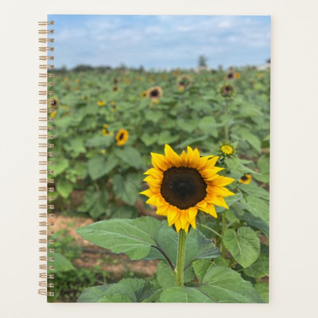 Sunflower Field Photograph Planner (Front)