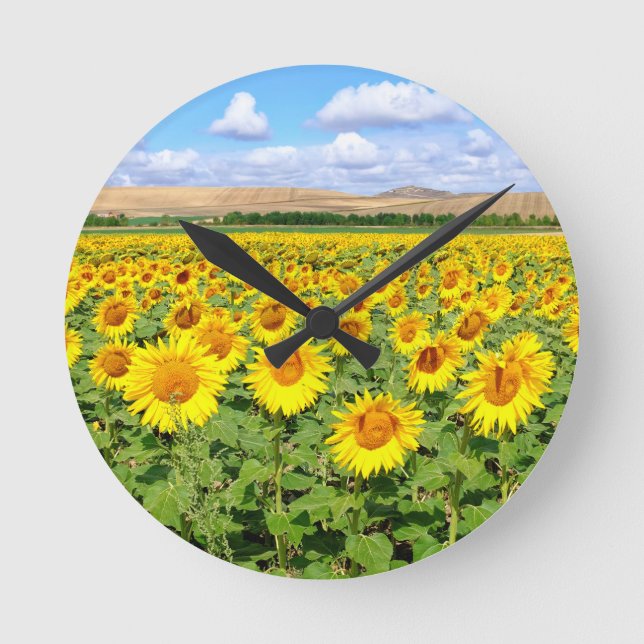 Sunflower field round clock (Front)