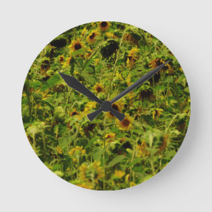 Sunflower field round clock