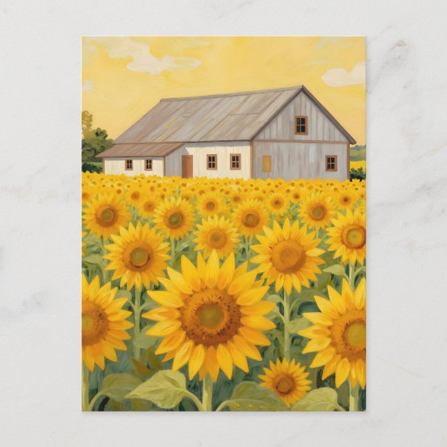 Sunflower Field Rustic Barn Landscape Postcard (Front)