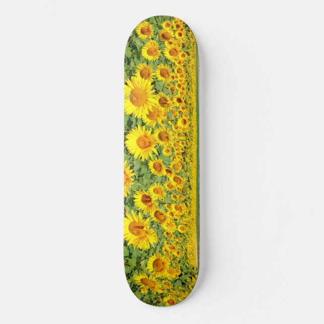Sunflower field skateboard (Front)
