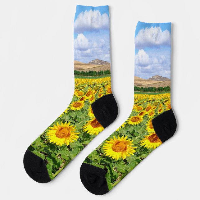 Sunflower field socks (Left)